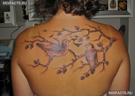 Bird tatuaje semnificație și fotografii