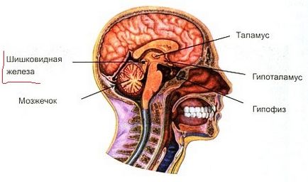 Calea către mintea și puterea - magic - un ghid practic (pronunțând mental semnarea) Calea către mintea și puterea - magic - un ghid practic