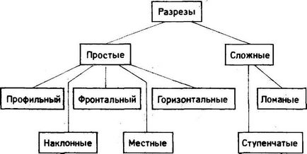 incizii orizontale, profil, fata (detalii planul de tăiere) incizii orizontale, profil, fata