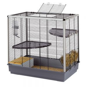 Conținutul chinchilla la domiciliu - celhozportal (proprietarii preferă să păstreze chinchilla) Conținutul chinchilla la domiciliu - celhozportal