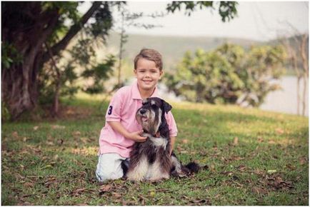 Schnauzer tot felul de descriere și fotografia (e) de Schnauzer tot felul de descriere și fotografii