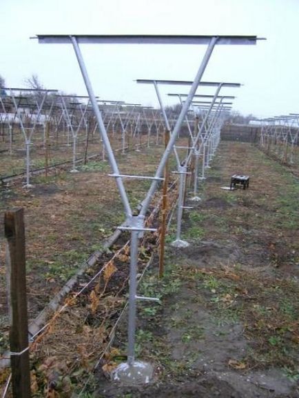 Tapiterie pentru cultivarea mure, cu mâinile, în repaus ca cravată (Mur) Tapiterie pentru cultivarea mure, cu mâinile, odihnindu ca cravată