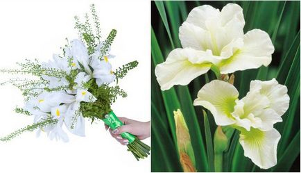 Buchet de irisi si trandafiri, gerbera, crizanteme (foto)