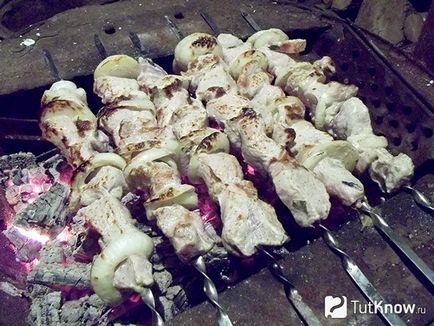 Porc secrete de gătit kebab maioneza