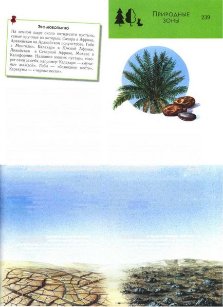 desert tropical (desert) deșert tropical