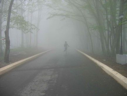 Descriere Fog, cauze, tipuri (foto) (picaturi mai mari) Descriere Fog, cauze, tipuri (fotografii)