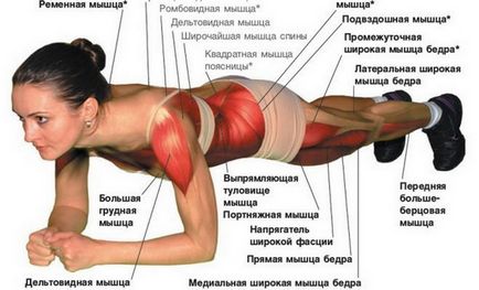 curea Exercitarea - modul de a elimina grasimea de pe abdomen și a pompa presa! (Efort fizic) curea Exercitarea - modul de a elimina grasimea de pe abdomen și a pompa presa!