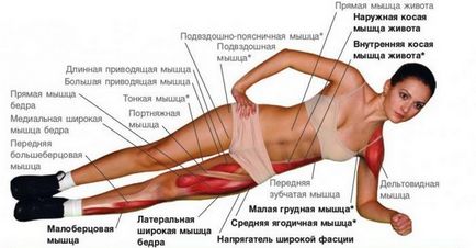 curea Exercitarea - modul de a elimina grasimea de pe abdomen și a pompa presa! (Stomac) curea Exercitarea - modul de a elimina grasimea de pe abdomen și a pompa presa!
