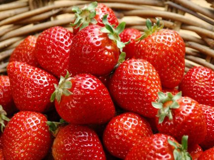 Cultivarea căpșuni în casă sau dacă bronzare a pielii