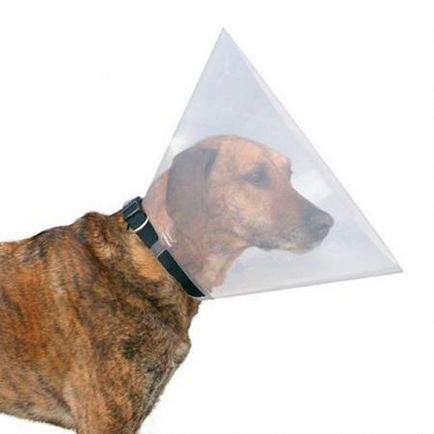Guler - protecție pentru câini face cu mâinile lor - dogcollar - muniție și accesorii pentru câini
