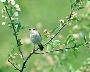 fenomene naturale în luna mai