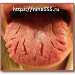 Limba fără oase (oase) membru indisciplinat