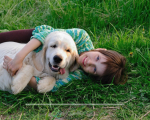 Prejudecăți și mituri despre câinii nu provoacă alergii