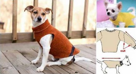 12 lucruri pe care le puteți face de la un pulover vechi favorit