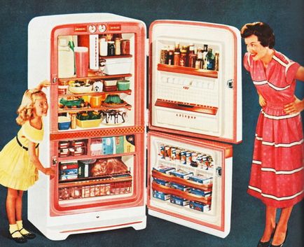 5 reguli principale de cumpărare frigider