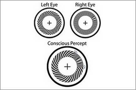 5 cercetare psihologică asupra percepției de informații vizuale
