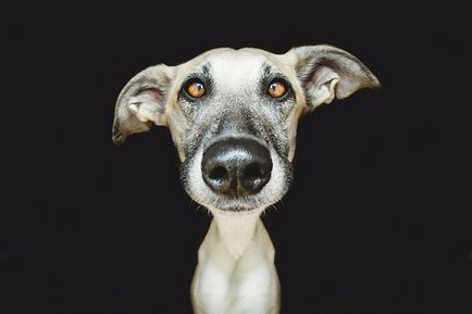 Și eu ce să fac pe pământ, Dumnezeu (fotograf Elke Vogelsang) Și eu ce să fac pe pământ, Dumnezeu