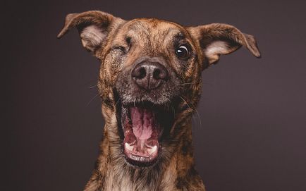 Și eu ce să fac pe pământ, Dumnezeu (a face) Și eu ce să fac pe pământ, Dumnezeu
