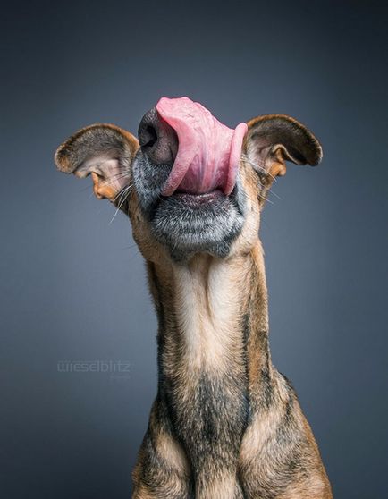 Și eu ce să fac pe pământ, Dumnezeu (fotograf Elke Vogelsang) Și eu ce să fac pe pământ, Dumnezeu