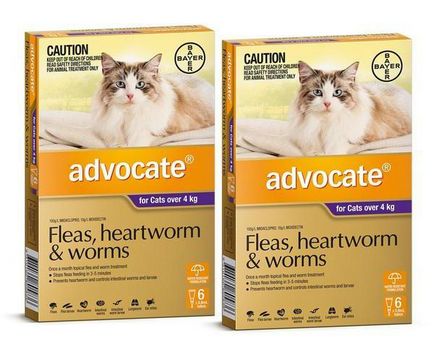 Avocat - picături pentru pisici împotriva puricilor ghid, recenzii