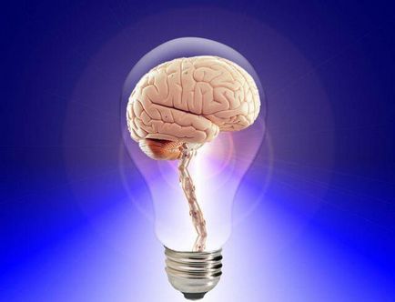 alfa creier ritmuri descriere, caracteristici și funcții