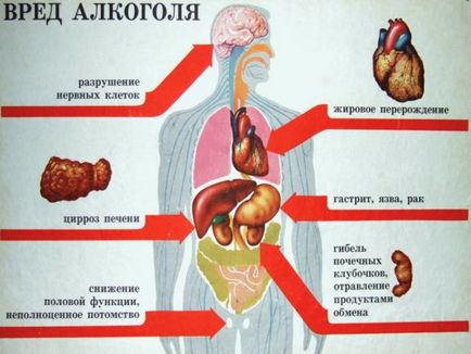 Alcoolul și efectele sale nocive asupra sănătății umane a creierului, inima, ficat si alte organe
