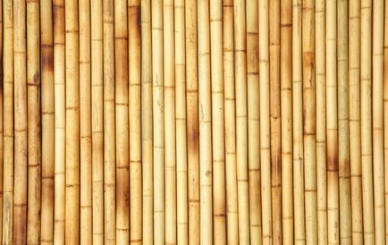 Panouri de bambus (foto)