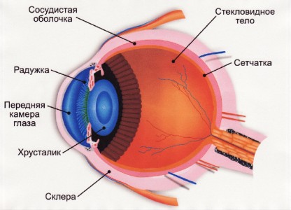 globul ocular Sore atunci când se deplasează capul și cauzele care fac