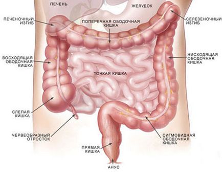 Sore intestinului - simptome, cauze, tratament, ce să facă