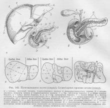 glande mari ale sistemului digestiv