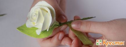 Boutonniere mire cu mâinile lor