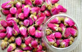 Rosebuds - descriere cu fotografii; ceai de muguri de trandafir