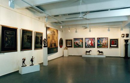 expoziție a artistului (pictor) Casa Centrală Casa Centrală a Expoziție Artist