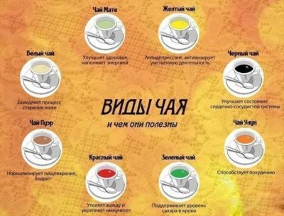 Puer efect de ceai, feedback-ul, dacă este posibil să se piardă în greutate, cum să fiarbă (efect) Puer efect de ceai, feedback-ul, dacă este posibil să se piardă în greutate, cum să fiarbă