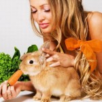 Cum putem hrăni iepurii acasă