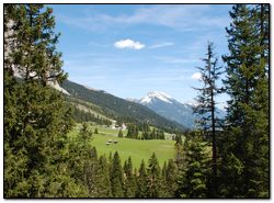 Cât de util climat montan (climă) Climatul de munte este util