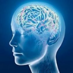 Ce un om se simte atunci când avionul cade ce se întâmplă cu oamenii în toamna, în timpul (sentimentul) Ce un om se simte atunci când un plan care cade se întâmplă oamenilor în toamna, în timpul