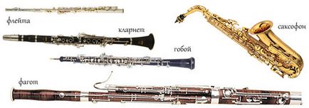 Ce este fanfara să vedem (Orchestra) Ce este fanfara să vedem