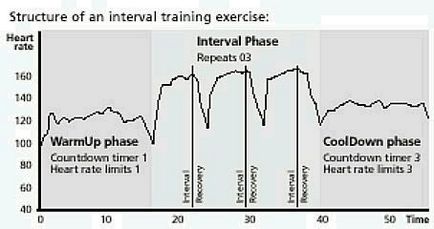 Care este intervalul de formare fitnesburg - portalul de fitness Ekaterinburg