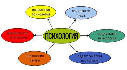 Ce este psihologia, metodele, tipurile și industriile de bază, tendințe și de cercetare în psihologie (Psihologie) Ce este psihologia, metodele, tipurile și industriile de bază, tendințe și de cercetare în psihologie,