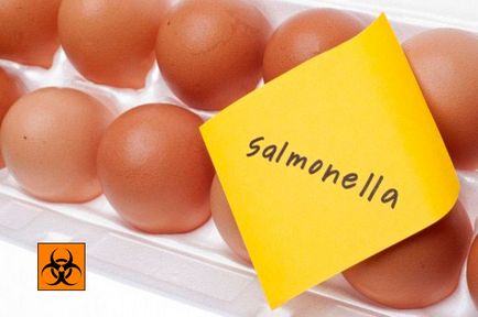 Ce este salmoneloza - modul în care este transferat, perioada de incubație a agentului patogen, prevenirea bolilor