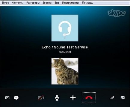 Ce este Skype și cum să-l folosească