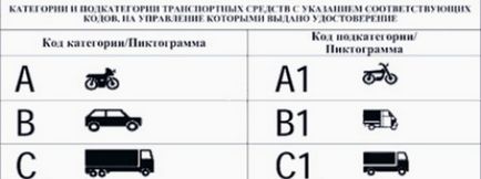 Ce este categoria B1 permis de conducere și