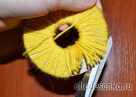 Pui de fire (filet) Pui firului