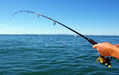 Cpinning de pe coasta Marii Negre pentru a descoperi o nouă pescuit
