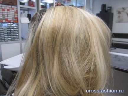 Grup Crossfashion - nu a reușit pentru a ușura vopsea de păr, cum să se alinieze exemplul de culoare și sfaturi foto