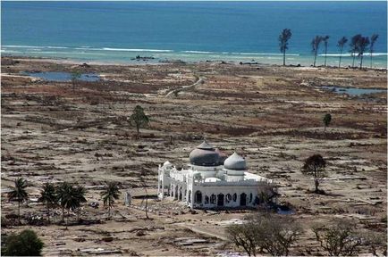 Tsunami-ul din Thailanda în 2004 descriere, fotografii, film