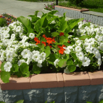 grădină de flori în țară cu propriile lor mâini - proiectare, tipuri, idei de design, diagrame, opțiuni (grădină de flori) grădină de flori în țară cu propriile lor mâini - proiectare, tipuri, idei de design, diagrame, opțiuni