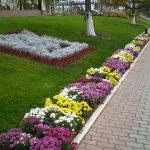 grădină de flori în țară cu propriile lor mâini - proiectare, tipuri, idei de design, diagrame, opțiuni (cu mâinile) grădină de flori în țară cu propriile lor mâini - proiectare, tipuri, idei de design, diagrame, opțiuni