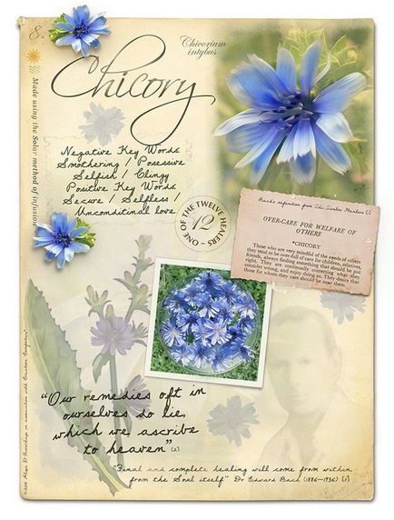 Bach Flower Essences (Bach Flower Essences) Bach Flower Essences